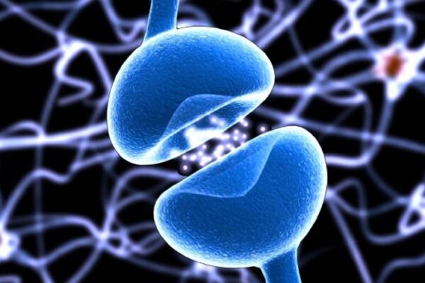 La coordinadora del Grupo de Estudio de Esclerosis Múltiple y Enfermedades Neuroinmunológicas Relacionadas de la Sociedad Española de Neurología (SEN), la doctora Ana Belén Caminero, pidió este jueves reforzar tanto el diagnóstico precoz como la atención integral a pacientes con esclerosis múltiple