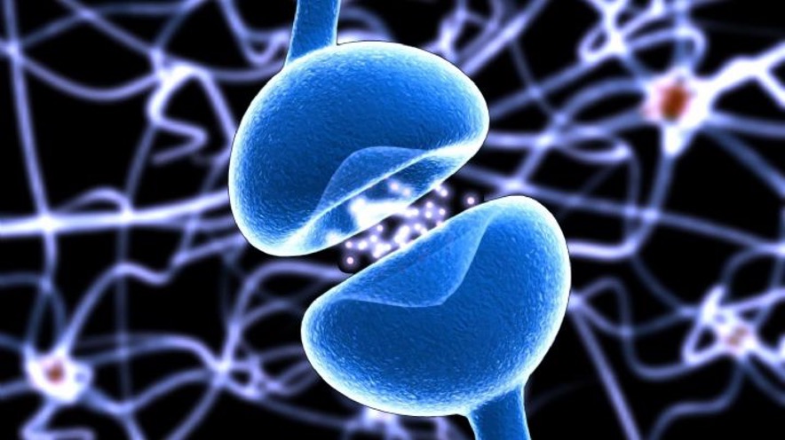 La coordinadora del Grupo de Estudio de Esclerosis Múltiple y Enfermedades Neuroinmunológicas Relacionadas de la Sociedad Española de Neurología (SEN), la doctora Ana Belén Caminero, pidió este jueves reforzar tanto el diagnóstico precoz como la atención integral a pacientes con esclerosis múltiple