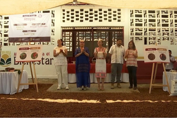 Acompañada de la gobernadora de Guerrero, Evelyn Salgado, Claudia Sheinbaum aseveró que se diseña una estrategia para la compra del café que permita pagarles precios justos para la elaboración del Café del Bienestar que se venderá en las 26 mil tiendas del Bienestar. 