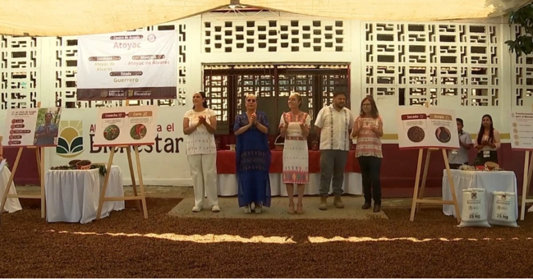 Acompañada de la gobernadora de Guerrero, Evelyn Salgado, Claudia Sheinbaum aseveró que se diseña una estrategia para la compra del café que permita pagarles precios justos para la elaboración del Café del Bienestar que se venderá en las 26 mil tiendas del Bienestar. 