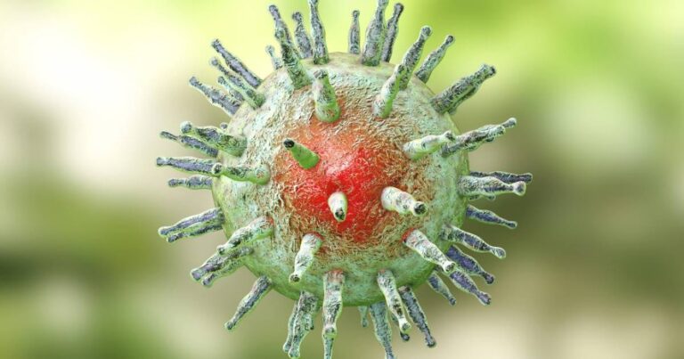 Investigadores del Instituto de Investigación Médica QIMR Berghofer (Australia) desarrollaron una candidata a vacuna que ha logrado una protección inmunitaria potente y duradera contra el virus de Epstein-Barr (VEB) en modelos preclínicos, un avance que podría prevenir el tipo de infección vírica grave conocida por ser una de las principales causas de varias enfermedades, entre ellas la esclerosis múltiple y diversos tipos de cáncer.