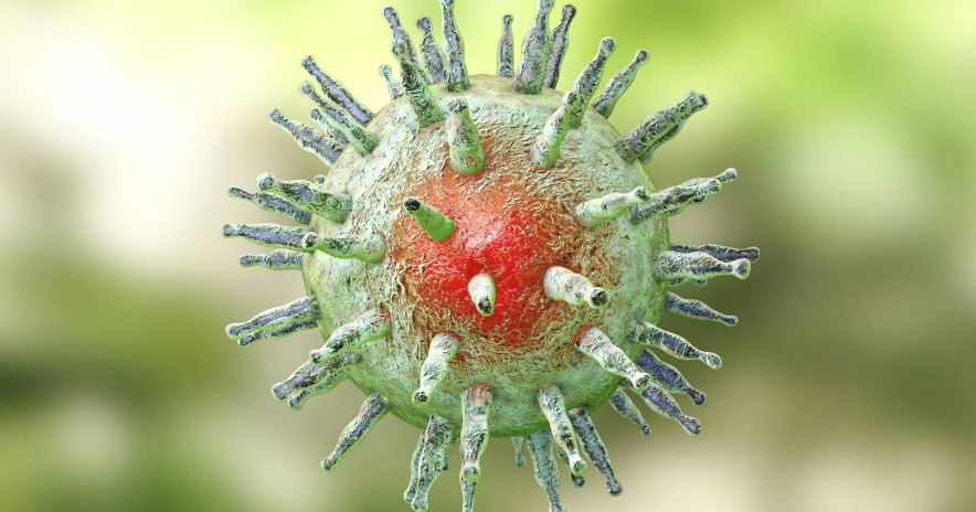 Investigadores del Instituto de Investigación Médica QIMR Berghofer (Australia) desarrollaron una candidata a vacuna que ha logrado una protección inmunitaria potente y duradera contra el virus de Epstein-Barr (VEB) en modelos preclínicos, un avance que podría prevenir el tipo de infección vírica grave conocida por ser una de las principales causas de varias enfermedades, entre ellas la esclerosis múltiple y diversos tipos de cáncer.