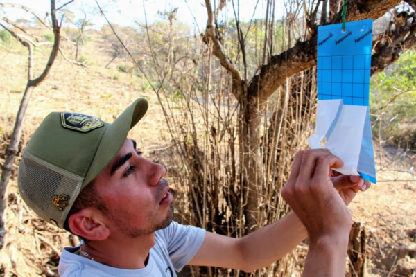 El alcade de Nezahualcóyotl, Adolfo Cerqueda Rebollo, destacó que el propósito es brindar seguridad legal, pues las parejas acceden de inmediato a derechos de seguridad social, herencias y la construcción de un patrimonio sólido bajo el amparo de la ley.