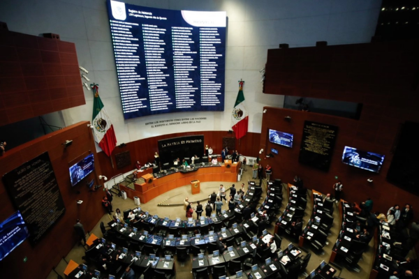 El senador de Morena, Pável Jarero, dijo que es inaceptable que la mayoría de los mexicanos tengan pensiones de en promedio 7 mil pesos, mientras un grupo de “privilegiados” obtiene desde hace años pensiones millonarias, pagadas con recursos públicos.