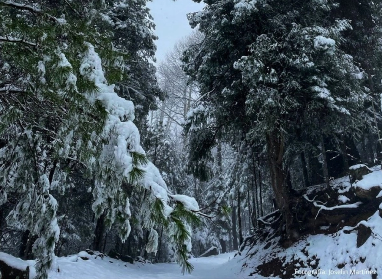 Protección Civil informó de la caída de nieve y aguanieve en comunidades de Bocoyna, y en el tramo carretero de San Juanito hacia la cabecera de Guerrero.