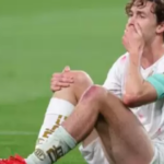 Las lesiones persiguen a México rumbo a la Copa del Mundo. A menos de tres meses del partido inaugural contra Sudáfrica, el mediocampista del Toluca, Marcel Ruiz, pieza habitual en las convocatorias del seleccionador nacional Javier Aguirre, quedó oficialmente descartado para la máxima cita de la FIFA, tras sufrir una rotura de ligamento cruzado anterior y una lesión de menisco en la rodilla derecha el miércoles durante el partido ante el San Diego estadunidense, en la ida de octavos de final de la Concacaf Copa de Campeones.