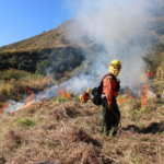 Brigadistas se encuentran sofocando un incendio forestal activo en el cerro de San Juan, en Tepic, Nayarit. 