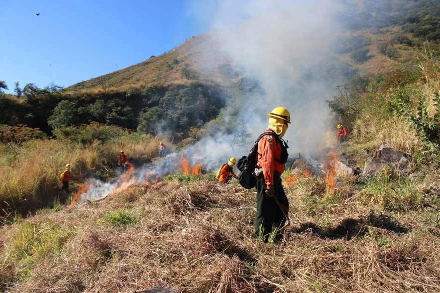 Brigadistas se encuentran sofocando un incendio forestal activo en el cerro de San Juan, en Tepic, Nayarit. 