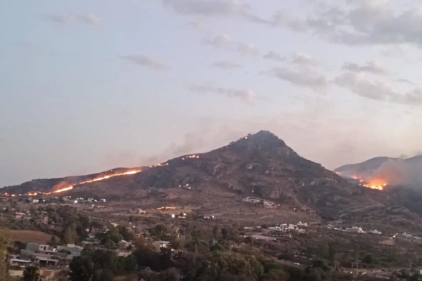 El siniestro fue combatido primeramente en las faldas por elementos de la Conafor, así como bomberos municipales y personal de la Brigada Rural del municipio de San José de Gracia luego de que se reportó cerca de las 15:45 horas que se había suscitado una conflagración.