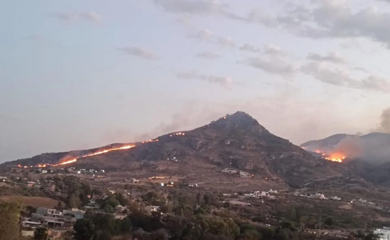 El siniestro fue combatido primeramente en las faldas por elementos de la Conafor, así como bomberos municipales y personal de la Brigada Rural del municipio de San José de Gracia luego de que se reportó cerca de las 15:45 horas que se había suscitado una conflagración.