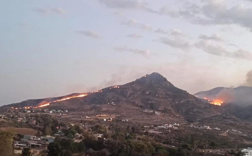 El siniestro fue combatido primeramente en las faldas por elementos de la Conafor, así como bomberos municipales y personal de la Brigada Rural del municipio de San José de Gracia luego de que se reportó cerca de las 15:45 horas que se había suscitado una conflagración.