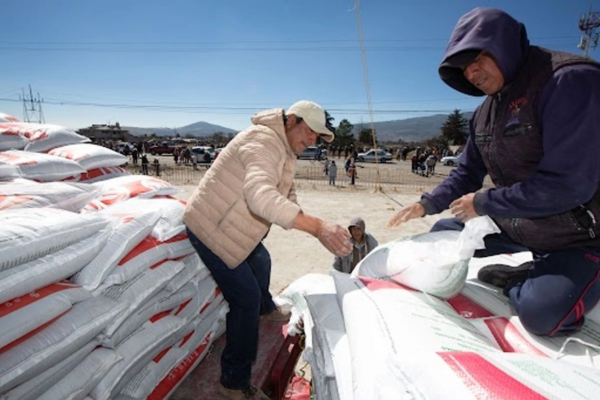 Los precios de los fertilizantes han alcanzado sus niveles más altos desde septiembre de 2022, con un aumento interanual de 44 por ciento, y es que la guerra en Medio Oriente está trastocando el panorama económico global.