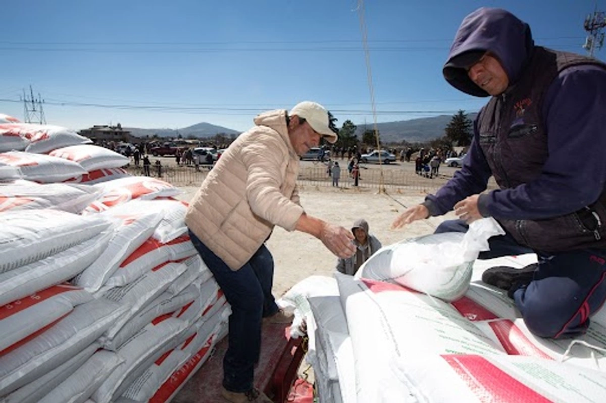 Los precios de los fertilizantes han alcanzado sus niveles más altos desde septiembre de 2022, con un aumento interanual de 44 por ciento, y es que la guerra en Medio Oriente está trastocando el panorama económico global.