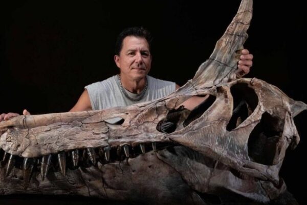 Una especie recién descubierta de 'Spinosaurus' ha revelado que el icónico depredador de 'Jurassic Park' podría no haber sido completamente acuático, sino más bien una garza infernal que se movía por aguas poco profundas.