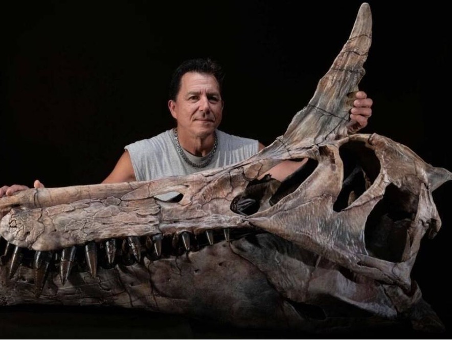 Una especie recién descubierta de 'Spinosaurus' ha revelado que el icónico depredador de 'Jurassic Park' podría no haber sido completamente acuático, sino más bien una garza infernal que se movía por aguas poco profundas.