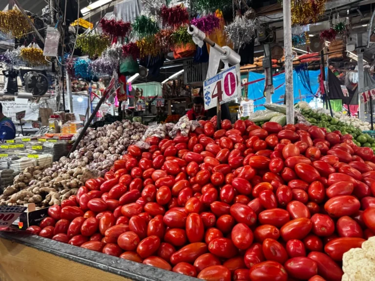 En la primera quincena de abril, la inflación general en México se moderó a 4.53 por ciento anual, debido a un comportamiento mixto en los precios de los productos agropecuarios, en donde el tomate, plátano, limón y calabacita presentaron bajas, pero el jitomate, chile serrano, chile poblano y cebolla mantuvieron sus incrementos, revelaron datos del Instituto Nacional de Estadística y Geografía (Inegi).