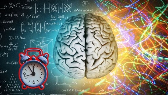 El cerebro humano atraviesa una serie de transformaciones desde la etapa prenatal hasta la vejez, de acuerdo con información difundida por la UNAM y respaldada por investigaciones de organismos internacionales como la Organización Mundial de la Salud y el National Institute of Mental Health.
