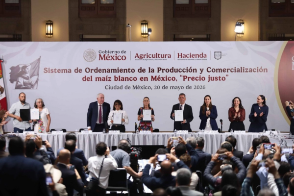 El mecanismo fue firmado con la presencia de Francisca Rosalba Jiménez Juárez, representante de los productores de Michoacán; Leonel Cota Montaño, subsecretario de Agricultura; Columba Jazmín López, secretaria de Agricultura; Claudia Sheinbaum, presidenta de México; Edgar Amador Zamora, secretario de Hacienda; María del Carmen Bonilla, subsecretaria de Hacienda; Andrea Marván Saltiel, comisionada Nacional Antimonopolio y Altagracia Gómez, titular Consejo Asesor Empresarial.