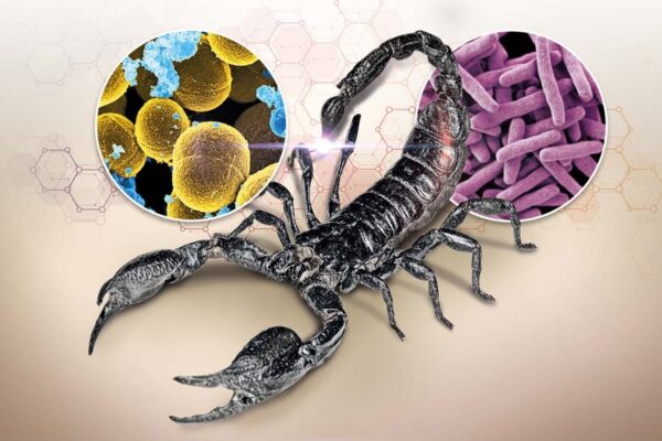 Investigadores del Instituto Nacional de Ciencias Médicas y Nutrición “Salvador Zubirán” (INCMNSZ) participan en el desarrollo de alternativas terapéuticas contra la tuberculosis