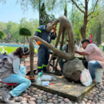 De agosto a septiembre se llevará a cabo la restauración especializada de 17 obras que se ubicas en el Parque de la Esculturas, en Cuatitlán Izcalli