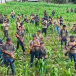 Las acciones se realizaron de manera paralela en distintas partes del país, para exigir la liberación de Plácido Galindo, y en el marco del 9 de agosto, Día Internacional de los Pueblos Indígenas.
