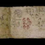 Luego de que salió del país en el siglo XIX, el Códice Azcatitlan, regresa “por primera vez al país” para la exposición que será inaugurada el próximo jueves en el Museo Nacional de Antropología (MNA)