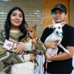 El gobierno municipal pretende esterilizar a un millar de mascotas.