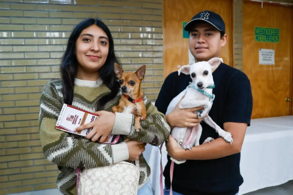 El gobierno municipal pretende esterilizar a un millar de mascotas.