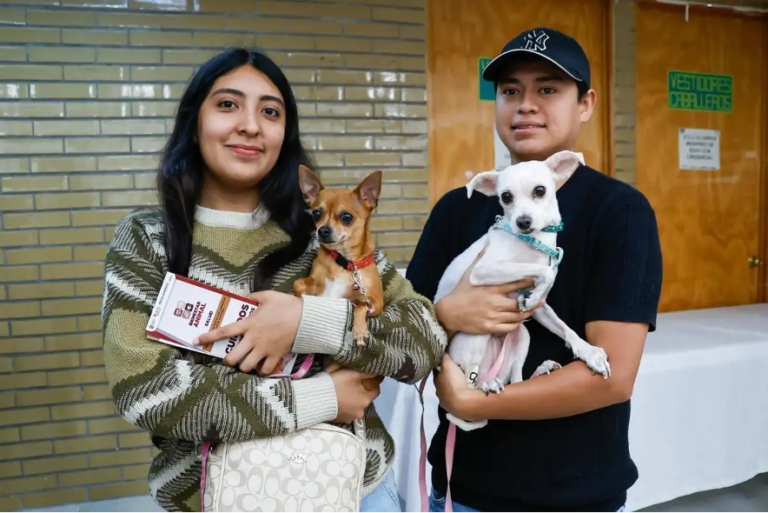 El gobierno municipal pretende esterilizar a un millar de mascotas.